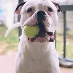 Meet your Posher, Elena